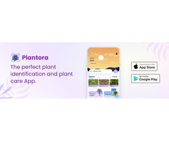 Have You Ever Take Care of Your Plant Health With Best Plant Care and Identifer App