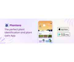 Have You Ever Take Care of Your Plant Health With Best Plant Care and Identifer App