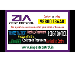 Zia Pest control service in Bangalore | Free Inspection | Low cost | 1895