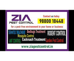 Zia Pest control | Cockroach service just Rs. 799/- only | Bangalore | 1978