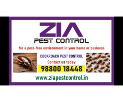 Cockroach Spray and Jel treatment | Zia pest control | Bangalore | 1986