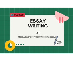 Elevate Your Essays with Professional Writers from StudyProfy