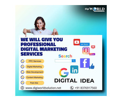 Digiworld Solution, the best digital marketing company in Chandigarh