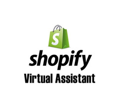 Expert Virtual Assistant for Shopify | OnestopDA